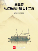 小说《/data/image/10108.jpg》封面