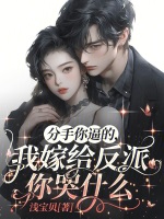 小说《/data/image/10384.jpg》封面