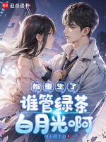 小说《/data/image/110.jpg》封面