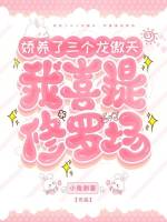 小说《/data/image/11102.jpg》封面