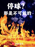小说《/data/image/11125.jpg》封面