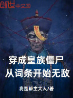 小说《/data/image/11133.jpg》封面
