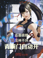 小说《/data/image/11311.jpg》封面