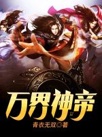 小说《/data/image/12027.jpg》封面