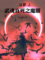 小说《/data/image/12300.jpg》封面