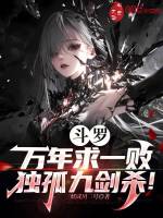 小说《/data/image/12413.jpg》封面