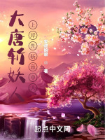 小说《/data/image/12475.jpg》封面