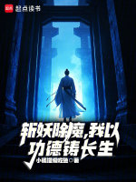 小说《/data/image/12529.jpg》封面