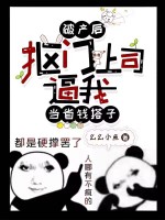 小说《/data/image/12532.jpg》封面