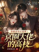 小说《/data/image/12587.jpg》封面