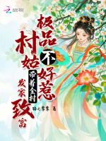 小说《/data/image/12676.jpg》封面