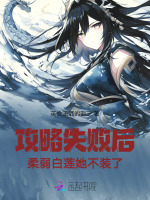小说《/data/image/12733.jpg》封面