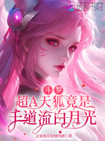 小说《/data/image/12855.jpg》封面