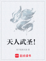 小说《/data/image/12955.jpg》封面