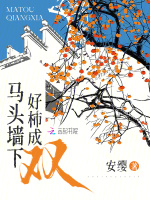 小说《/data/image/1298.jpg》封面