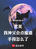 小说《/data/image/13078.jpg》封面