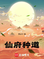 小说《/data/image/13091.jpg》封面