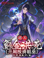 小说《/data/image/13117.jpg》封面