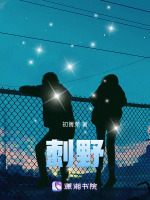 小说《/data/image/1325.jpg》封面
