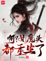 小说《/data/image/13313.jpg》封面