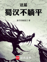 小说《/data/image/13315.jpg》封面