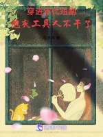 小说《/data/image/13325.jpg》封面