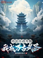小说《/data/image/13364.jpg》封面