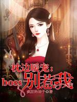 小说《/data/image/13430.jpg》封面