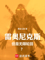 小说《/data/image/13543.jpg》封面