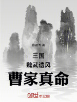 小说《/data/image/13919.jpg》封面