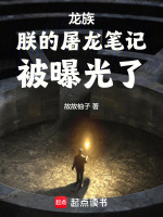 小说《/data/image/14245.jpg》封面