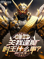 小说《/data/image/14393.jpg》封面