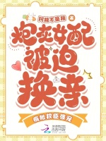 小说《/data/image/14490.jpg》封面