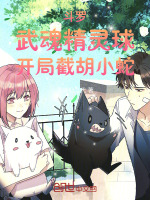 小说《/data/image/14496.jpg》封面