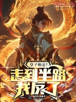 小说《/data/image/145.jpg》封面