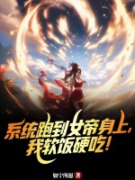 小说《/data/image/15064.jpg》封面