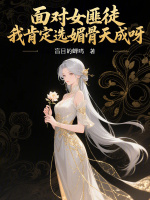 小说《/data/image/15843.jpg》封面