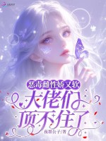 小说《/data/image/15861.jpg》封面