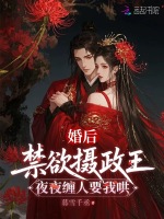 小说《/data/image/15997.jpg》封面