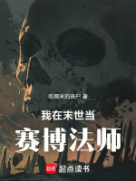 小说《/data/image/16159.jpg》封面