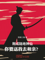 小说《/data/image/166.jpg》封面