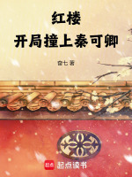 红楼:开局撞上秦可卿小说封面