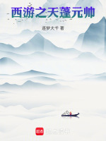 西游之天蓬元帅小说封面