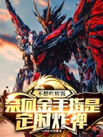 小说《/data/image/17374.jpg》封面