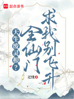 小说《/data/image/17456.jpg》封面