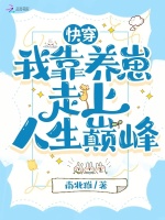 小说《/data/image/17477.jpg》封面