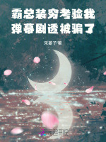 小说《/data/image/17611.jpg》封面