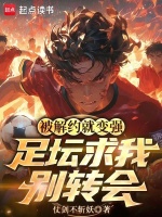 小说《/data/image/17788.jpg》封面