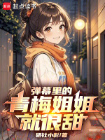 小说《/data/image/17993.jpg》封面