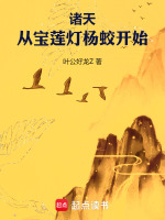 小说《/data/image/18030.jpg》封面